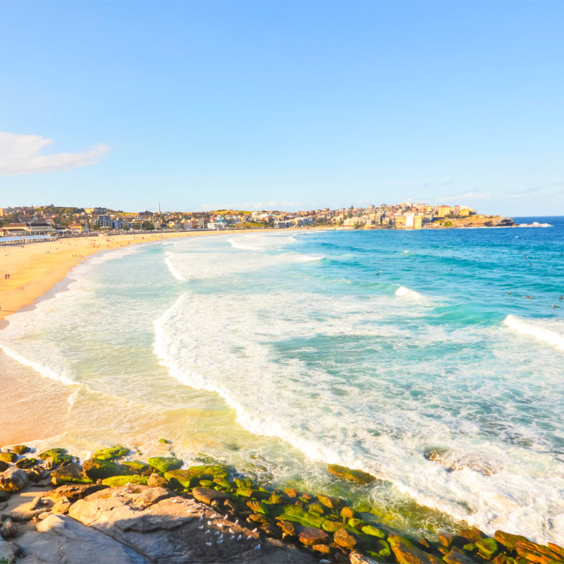 Bondi beach sydney